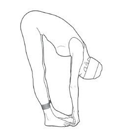 Иллюстрация к книге — Диагностика и лечение позвоночника. Уникальная система доктора А. М. Уриа [i_052.jpg]