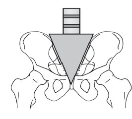 Иллюстрация к книге — Диагностика и лечение позвоночника. Уникальная система доктора А. М. Уриа [i_064.jpg]