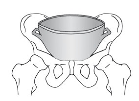 Иллюстрация к книге — Диагностика и лечение позвоночника. Уникальная система доктора А. М. Уриа [i_065.jpg]