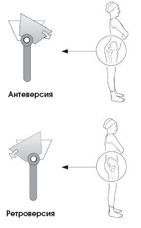 Иллюстрация к книге — Диагностика и лечение позвоночника. Уникальная система доктора А. М. Уриа [i_074.jpg]