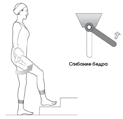 Иллюстрация к книге — Диагностика и лечение позвоночника. Уникальная система доктора А. М. Уриа [i_075.jpg]