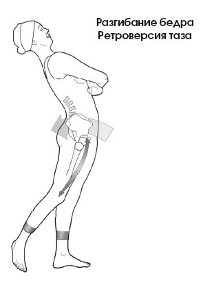 Иллюстрация к книге — Диагностика и лечение позвоночника. Уникальная система доктора А. М. Уриа [i_077.jpg]