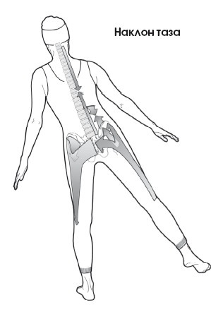 Иллюстрация к книге — Диагностика и лечение позвоночника. Уникальная система доктора А. М. Уриа [i_086.jpg]