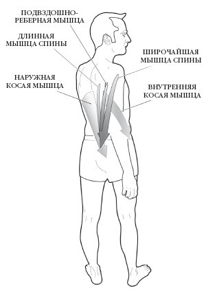 Иллюстрация к книге — Диагностика и лечение позвоночника. Уникальная система доктора А. М. Уриа [i_128.jpg]