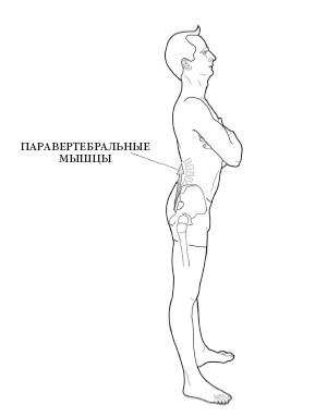 Иллюстрация к книге — Диагностика и лечение позвоночника. Уникальная система доктора А. М. Уриа [i_129.jpg]