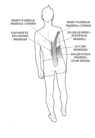 Иллюстрация к книге — Диагностика и лечение позвоночника. Уникальная система доктора А. М. Уриа [i_131.jpg]
