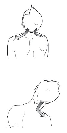 Иллюстрация к книге — Диагностика и лечение позвоночника. Уникальная система доктора А. М. Уриа [i_134.jpg]