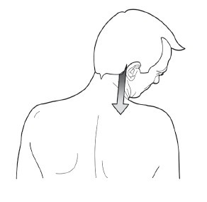 Иллюстрация к книге — Диагностика и лечение позвоночника. Уникальная система доктора А. М. Уриа [i_138.jpg]