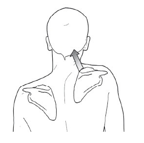 Иллюстрация к книге — Диагностика и лечение позвоночника. Уникальная система доктора А. М. Уриа [i_139.jpg]