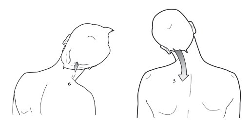 Иллюстрация к книге — Диагностика и лечение позвоночника. Уникальная система доктора А. М. Уриа [i_143.jpg]