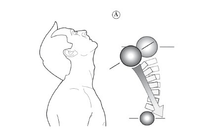 Иллюстрация к книге — Диагностика и лечение позвоночника. Уникальная система доктора А. М. Уриа [i_145.jpg]