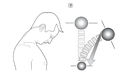Иллюстрация к книге — Диагностика и лечение позвоночника. Уникальная система доктора А. М. Уриа [i_146.jpg]