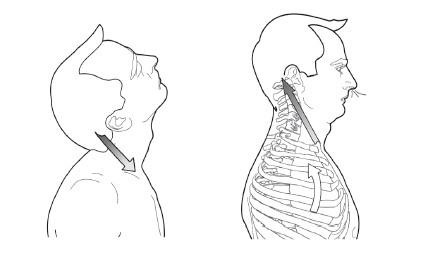 Иллюстрация к книге — Диагностика и лечение позвоночника. Уникальная система доктора А. М. Уриа [i_147.jpg]