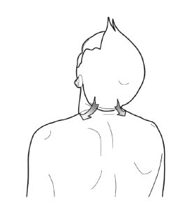 Иллюстрация к книге — Диагностика и лечение позвоночника. Уникальная система доктора А. М. Уриа [i_149.jpg]