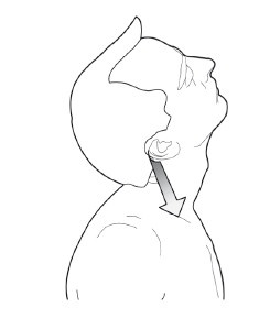 Иллюстрация к книге — Диагностика и лечение позвоночника. Уникальная система доктора А. М. Уриа [i_150.jpg]