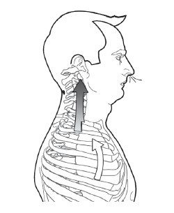 Иллюстрация к книге — Диагностика и лечение позвоночника. Уникальная система доктора А. М. Уриа [i_151.jpg]