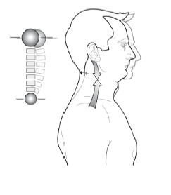 Иллюстрация к книге — Диагностика и лечение позвоночника. Уникальная система доктора А. М. Уриа [i_155.jpg]