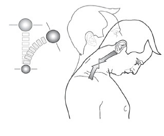 Иллюстрация к книге — Диагностика и лечение позвоночника. Уникальная система доктора А. М. Уриа [i_156.jpg]
