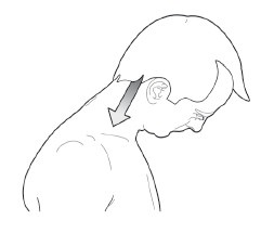 Иллюстрация к книге — Диагностика и лечение позвоночника. Уникальная система доктора А. М. Уриа [i_157.jpg]