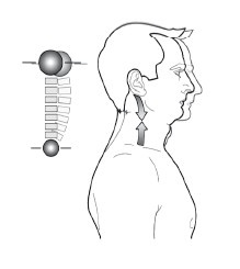 Иллюстрация к книге — Диагностика и лечение позвоночника. Уникальная система доктора А. М. Уриа [i_159.jpg]