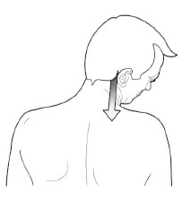 Иллюстрация к книге — Диагностика и лечение позвоночника. Уникальная система доктора А. М. Уриа [i_161.jpg]