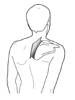 Иллюстрация к книге — Диагностика и лечение позвоночника. Уникальная система доктора А. М. Уриа [i_165.jpg]