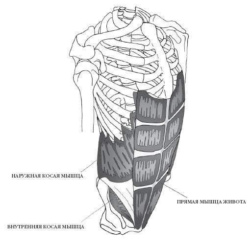 Иллюстрация к книге — Диагностика и лечение позвоночника. Уникальная система доктора А. М. Уриа [i_173.jpg]