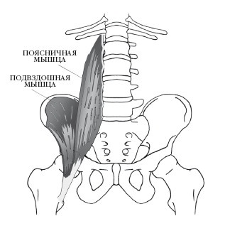 Иллюстрация к книге — Диагностика и лечение позвоночника. Уникальная система доктора А. М. Уриа [i_186.jpg]
