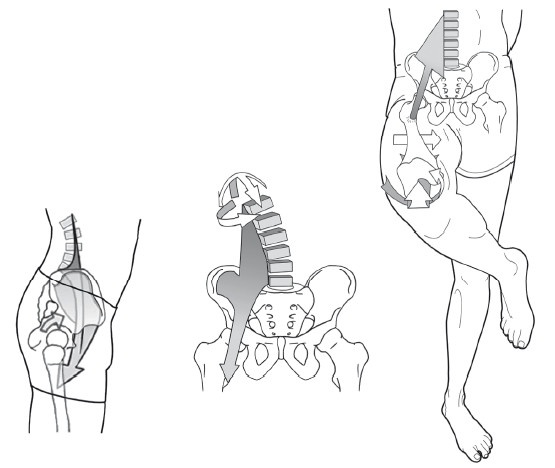 Иллюстрация к книге — Диагностика и лечение позвоночника. Уникальная система доктора А. М. Уриа [i_188.jpg]