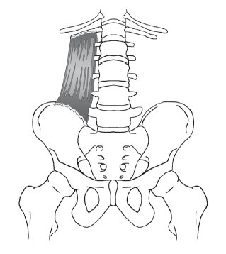 Иллюстрация к книге — Диагностика и лечение позвоночника. Уникальная система доктора А. М. Уриа [i_189.jpg]