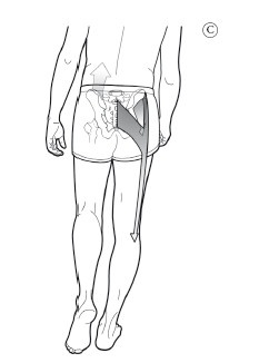 Иллюстрация к книге — Диагностика и лечение позвоночника. Уникальная система доктора А. М. Уриа [i_195.jpg]