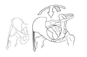 Иллюстрация к книге — Диагностика и лечение позвоночника. Уникальная система доктора А. М. Уриа [i_197.jpg]