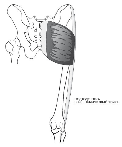 Иллюстрация к книге — Диагностика и лечение позвоночника. Уникальная система доктора А. М. Уриа [i_199.jpg]