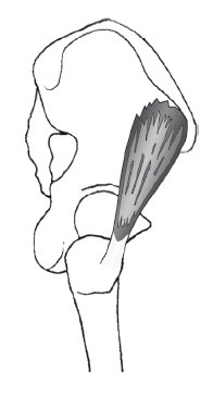 Иллюстрация к книге — Диагностика и лечение позвоночника. Уникальная система доктора А. М. Уриа [i_205.jpg]