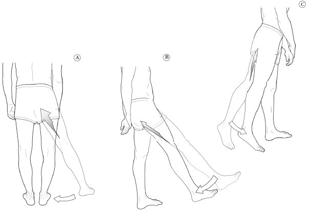 Иллюстрация к книге — Диагностика и лечение позвоночника. Уникальная система доктора А. М. Уриа [i_208.jpg]