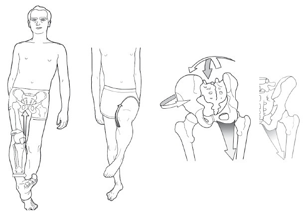 Иллюстрация к книге — Диагностика и лечение позвоночника. Уникальная система доктора А. М. Уриа [i_211.jpg]