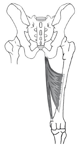 Иллюстрация к книге — Диагностика и лечение позвоночника. Уникальная система доктора А. М. Уриа [i_212.jpg]