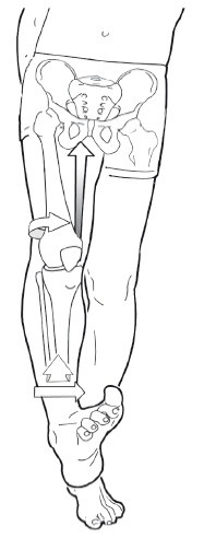 Иллюстрация к книге — Диагностика и лечение позвоночника. Уникальная система доктора А. М. Уриа [i_214.jpg]