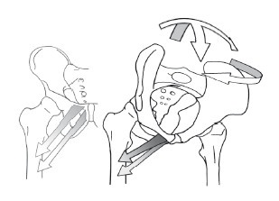 Иллюстрация к книге — Диагностика и лечение позвоночника. Уникальная система доктора А. М. Уриа [i_216.jpg]