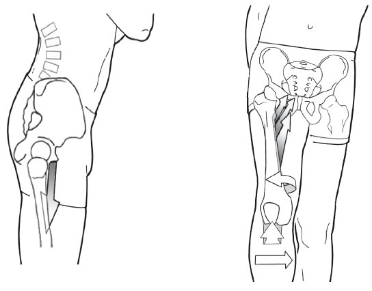 Иллюстрация к книге — Диагностика и лечение позвоночника. Уникальная система доктора А. М. Уриа [i_217.jpg]