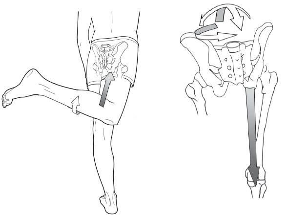 Иллюстрация к книге — Диагностика и лечение позвоночника. Уникальная система доктора А. М. Уриа [i_223.jpg]