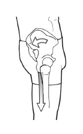 Иллюстрация к книге — Диагностика и лечение позвоночника. Уникальная система доктора А. М. Уриа [i_225.jpg]