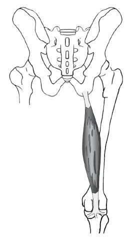 Иллюстрация к книге — Диагностика и лечение позвоночника. Уникальная система доктора А. М. Уриа [i_226.jpg]