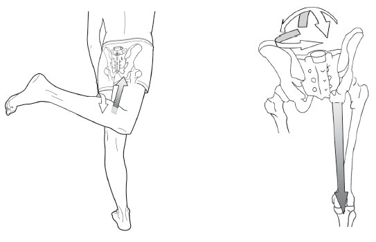 Иллюстрация к книге — Диагностика и лечение позвоночника. Уникальная система доктора А. М. Уриа [i_227.jpg]