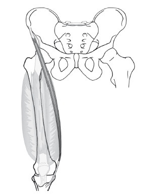 Иллюстрация к книге — Диагностика и лечение позвоночника. Уникальная система доктора А. М. Уриа [i_228.jpg]