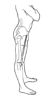 Иллюстрация к книге — Диагностика и лечение позвоночника. Уникальная система доктора А. М. Уриа [i_229.jpg]