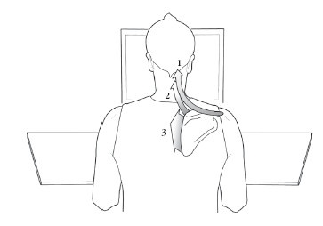 Иллюстрация к книге — Диагностика и лечение позвоночника. Уникальная система доктора А. М. Уриа [i_239.jpg]