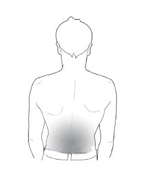 Иллюстрация к книге — Диагностика и лечение позвоночника. Уникальная система доктора А. М. Уриа [i_244.jpg]