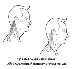 Иллюстрация к книге — Диагностика и лечение позвоночника. Уникальная система доктора А. М. Уриа [i_256.jpg]