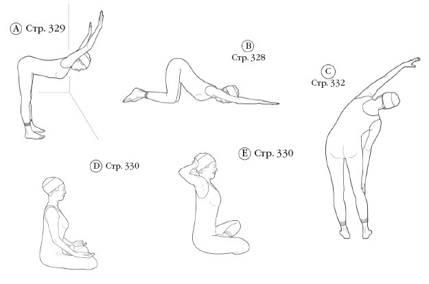 Иллюстрация к книге — Диагностика и лечение позвоночника. Уникальная система доктора А. М. Уриа [i_262.jpg]